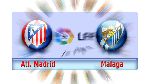 Atletico de Madrid 2-1 Malaga (Spanish La Liga 2012-2013, round 7)