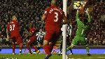 Liverpool 1-1 Newcastle (England Premier League 2012-2013, round 10)