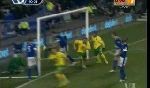 Everton 1-1 Norwich City (England Premier League 2012-2013, round 13)