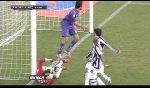 Fiorentina 4-1 Siena (Italian Serie A 2012-2013, round 17)